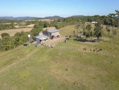 Fazenda para Venda, em So Francisco de Paula, bairro -