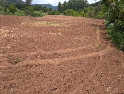 Área Rural para Venda, em Vale Real, bairro -