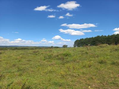 Fazenda para Venda, em Jaquirana, bairro -