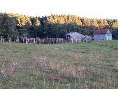 Fazenda para Venda, em So Francisco de Paula, bairro -