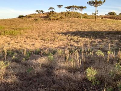 Fazenda para Venda, em So Francisco de Paula, bairro -