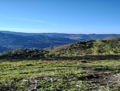 rea Rural para Venda, em Carlos Barbosa, bairro -