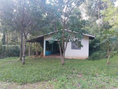 Chcara para Venda, em Alto Feliz, bairro Morro Gacho